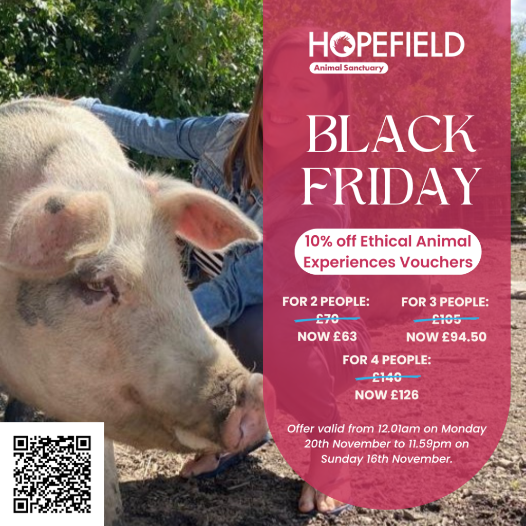 Black Friday where to see animals in Essex