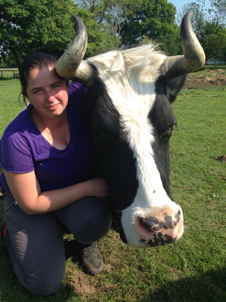 where to see animals in Essex