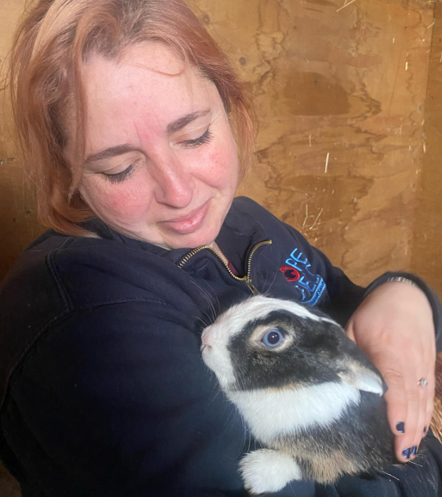 animal rescue in Essex Misty the Rabbit