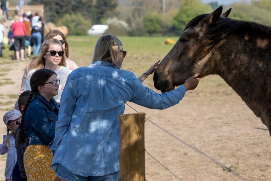 General Admission - Gift Voucher