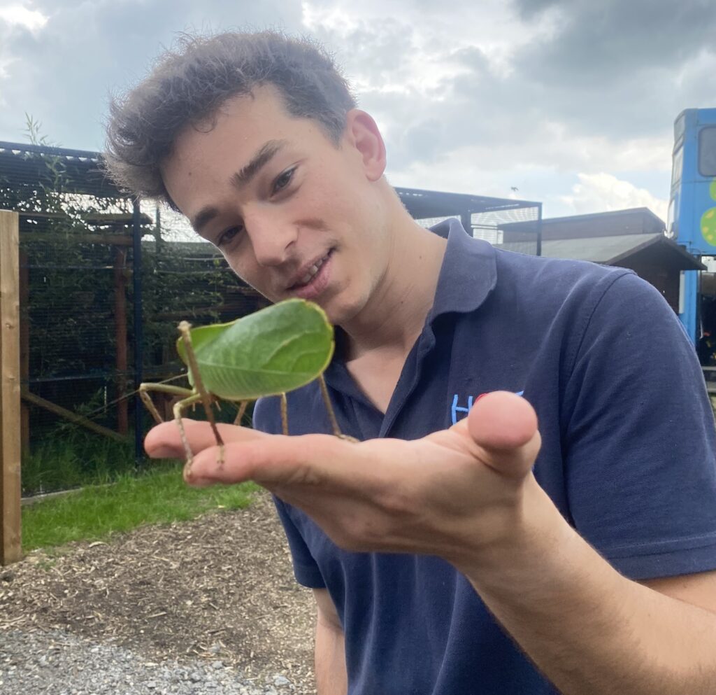 Xico where to see animals in Essex