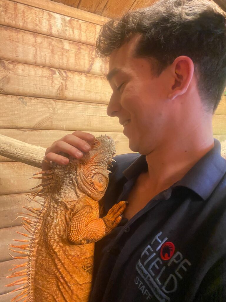 Xico where to see animals in Essex