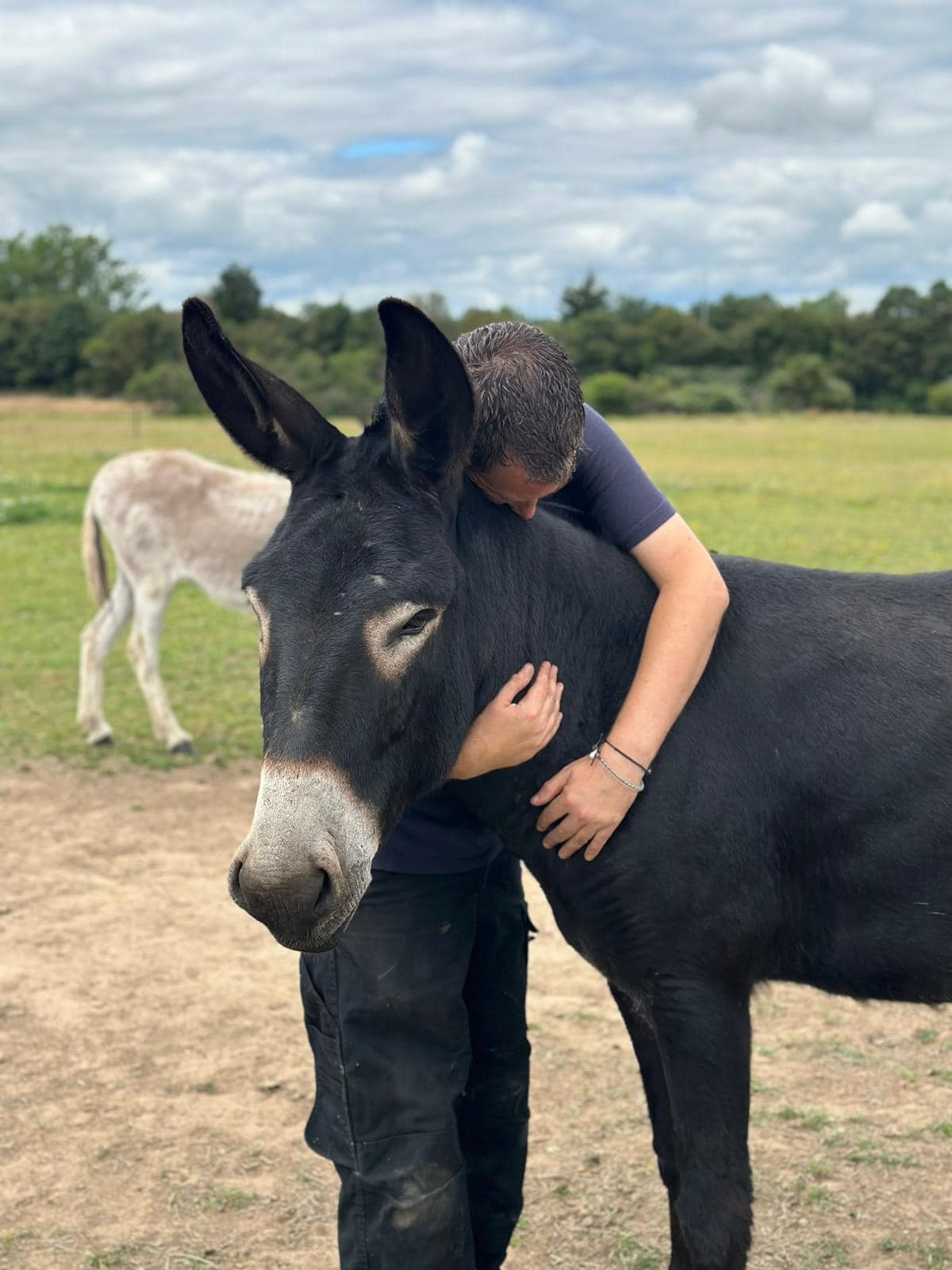 Authenticity Animal Ethical Animal Experiences | Hopefield Animal Sanctuary & Visitor Centre
