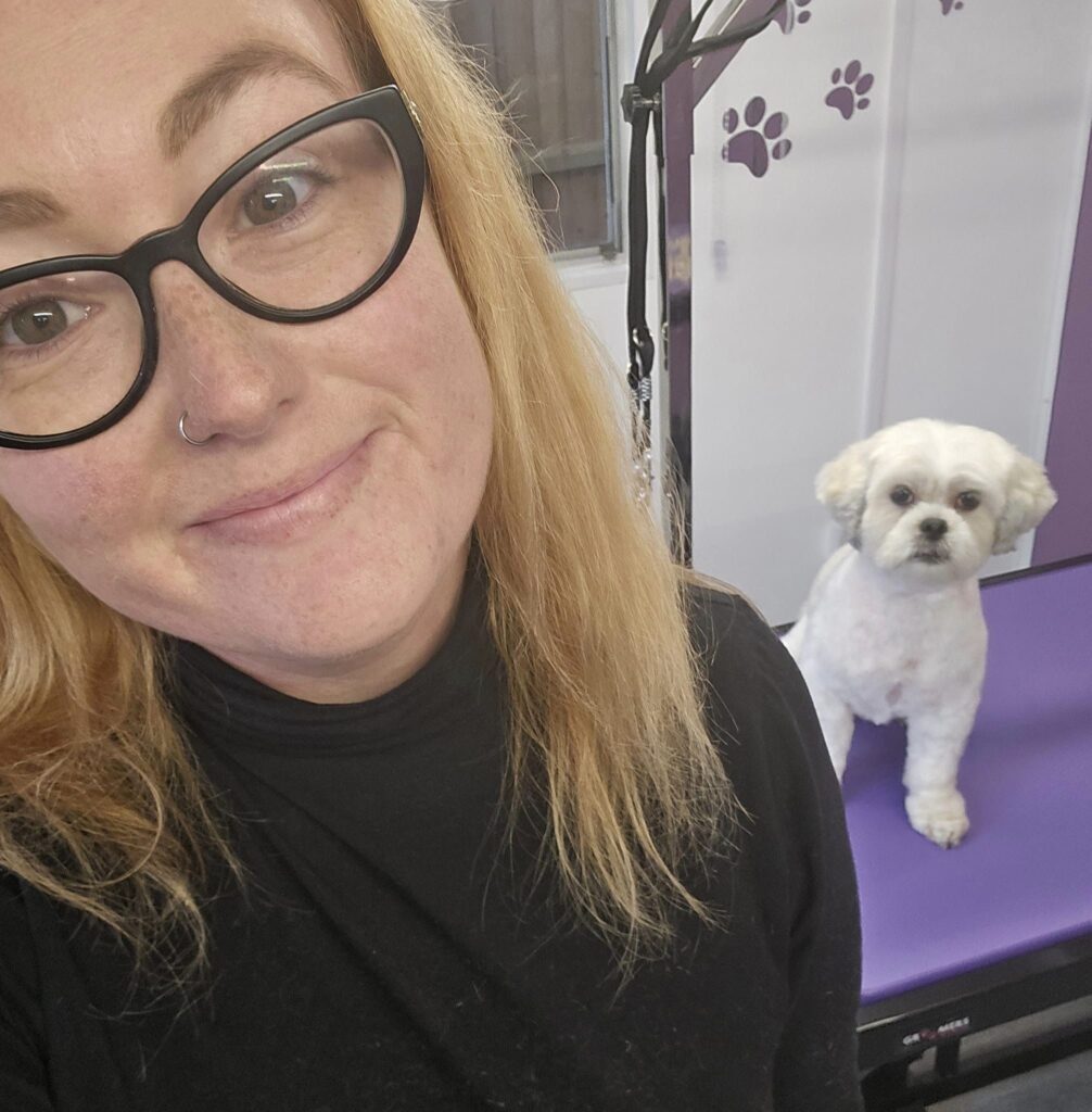 Dog grooming in Brentwood