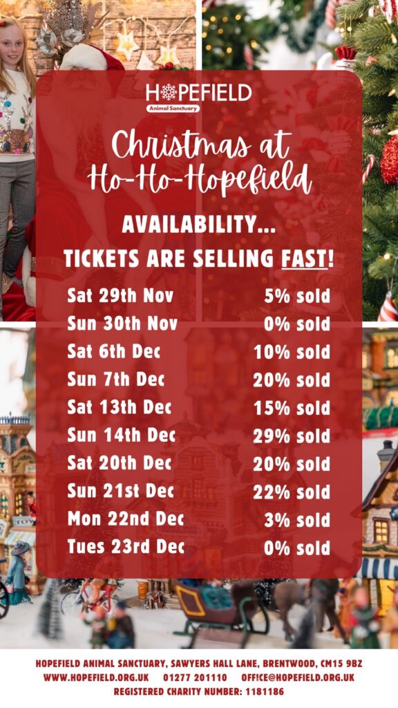 where to see Santa in Essex