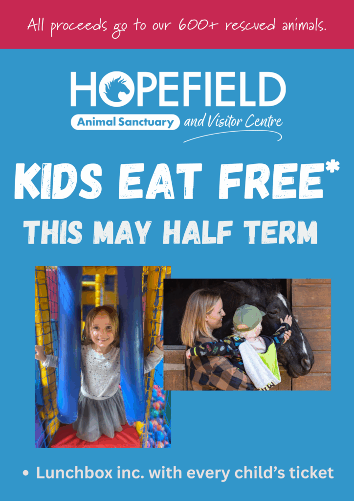 kids eat free may half term in essex things to do with kids in Essex this summer