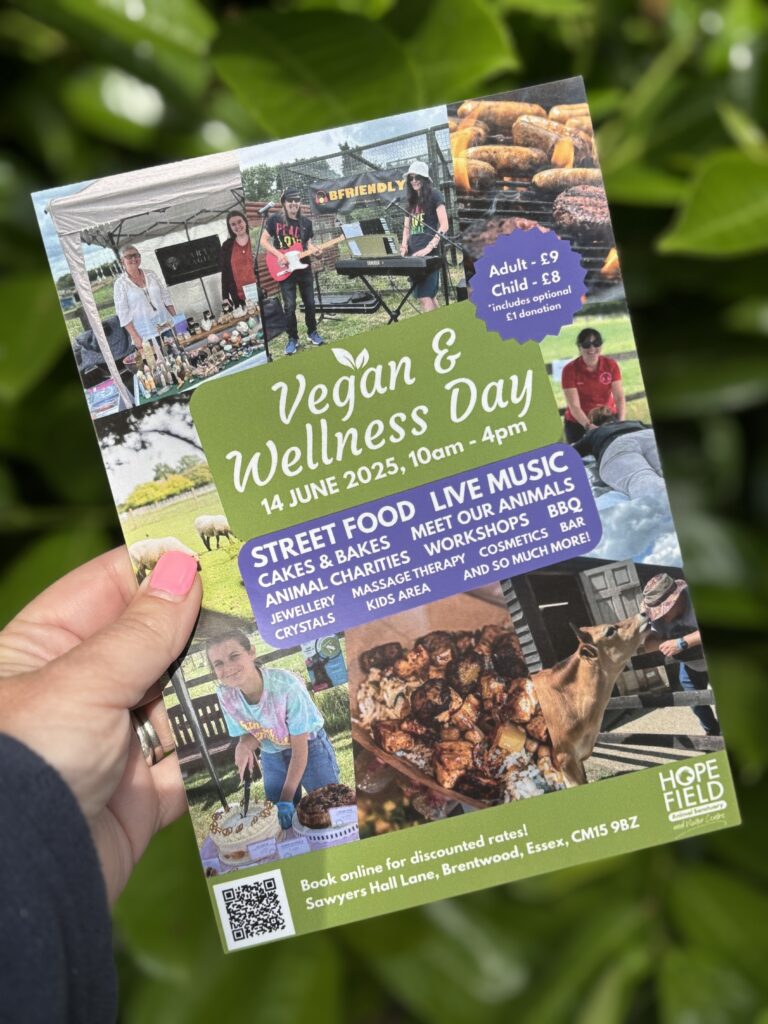 things to do with kids in Essex this summer vegan day