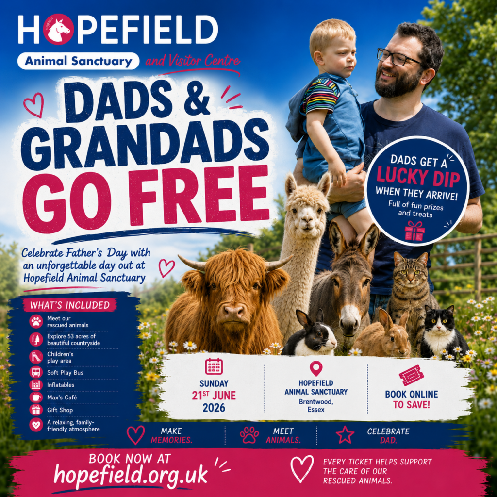 things to do in Brentwood on Father's Day