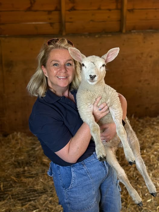 Where to see a lamb in Essex