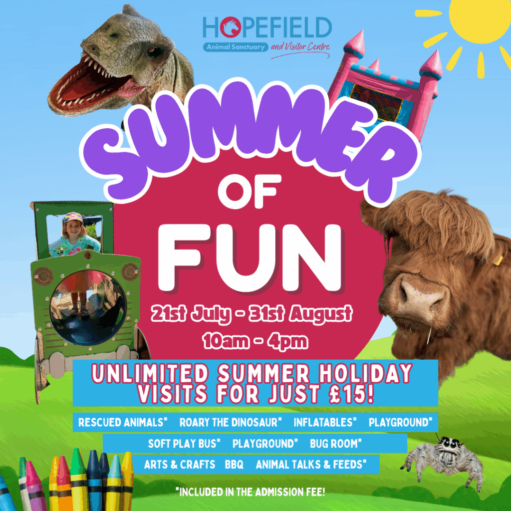 summer holiday ideas in Essex