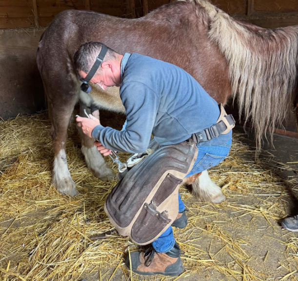 Farrier