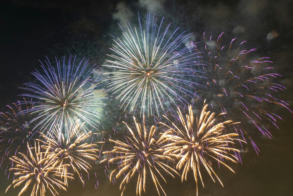 fireworks where to see animals in Essex