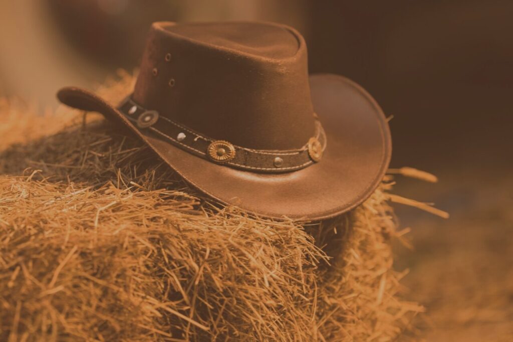 best summer event in Essex celebrate 4th July at Hopefield Hoedown