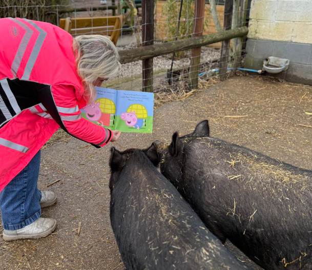 children's library at Hopefield