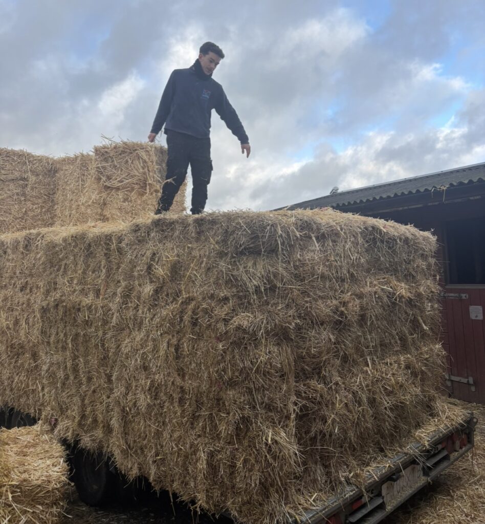 animal sanctuary in winter