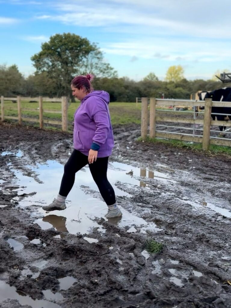 animal sanctuary in winter