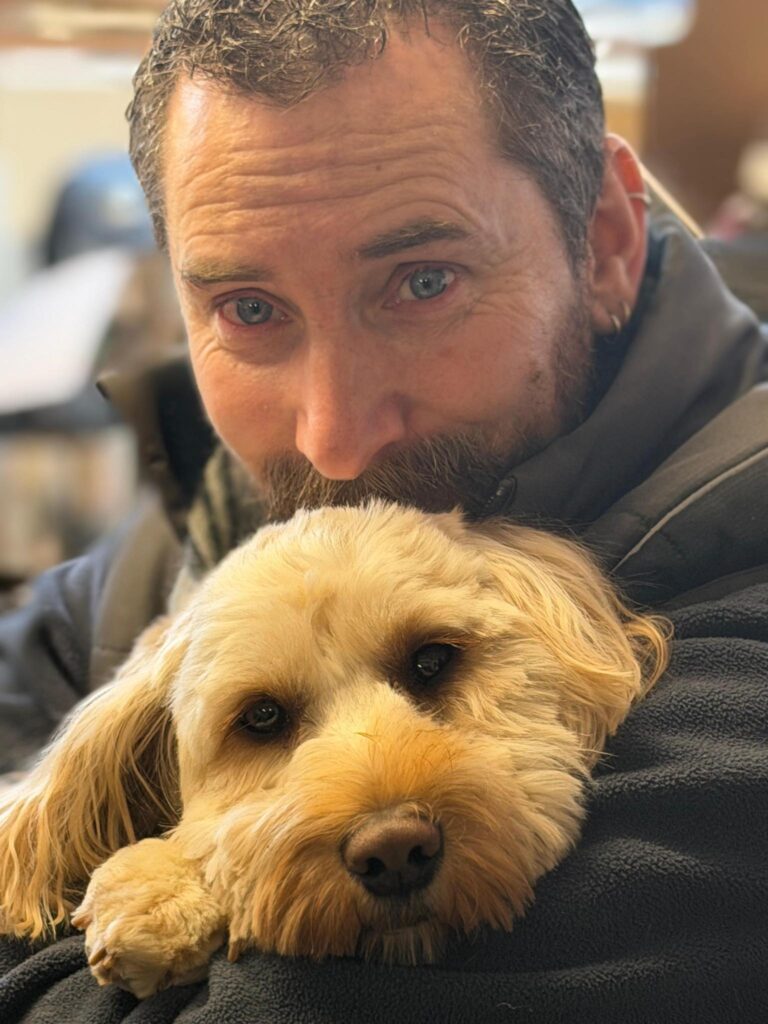 dog rescue in Essex Coco the cockapoo