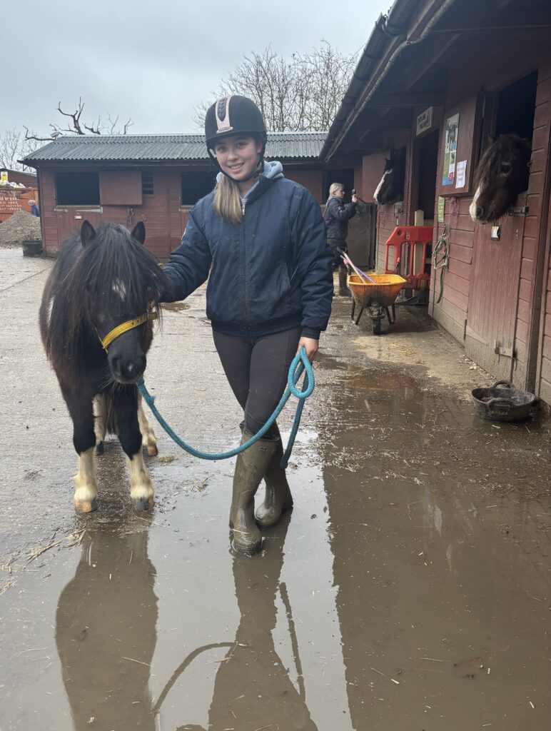 animal sanctuary in winter