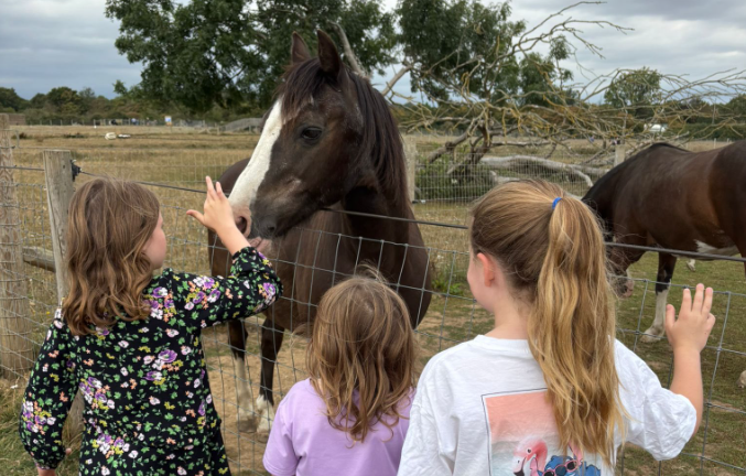 ethical day out Farm animal things to do in Essex with kids