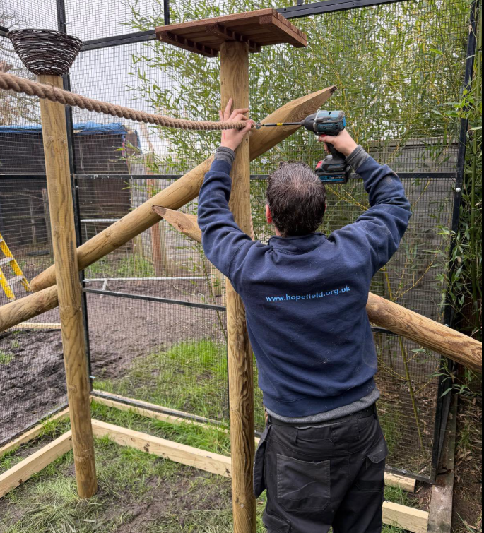 primate licensing laws exotic animal rescue