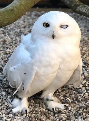 475648701_1045462974286940_7557161566896306945_n