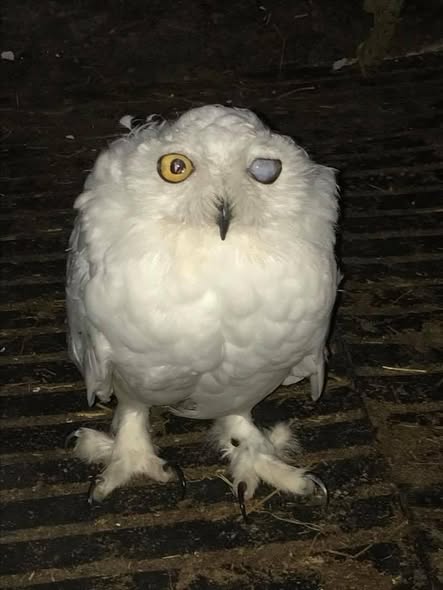 475764404_1045462804286957_2510249245712151925_n