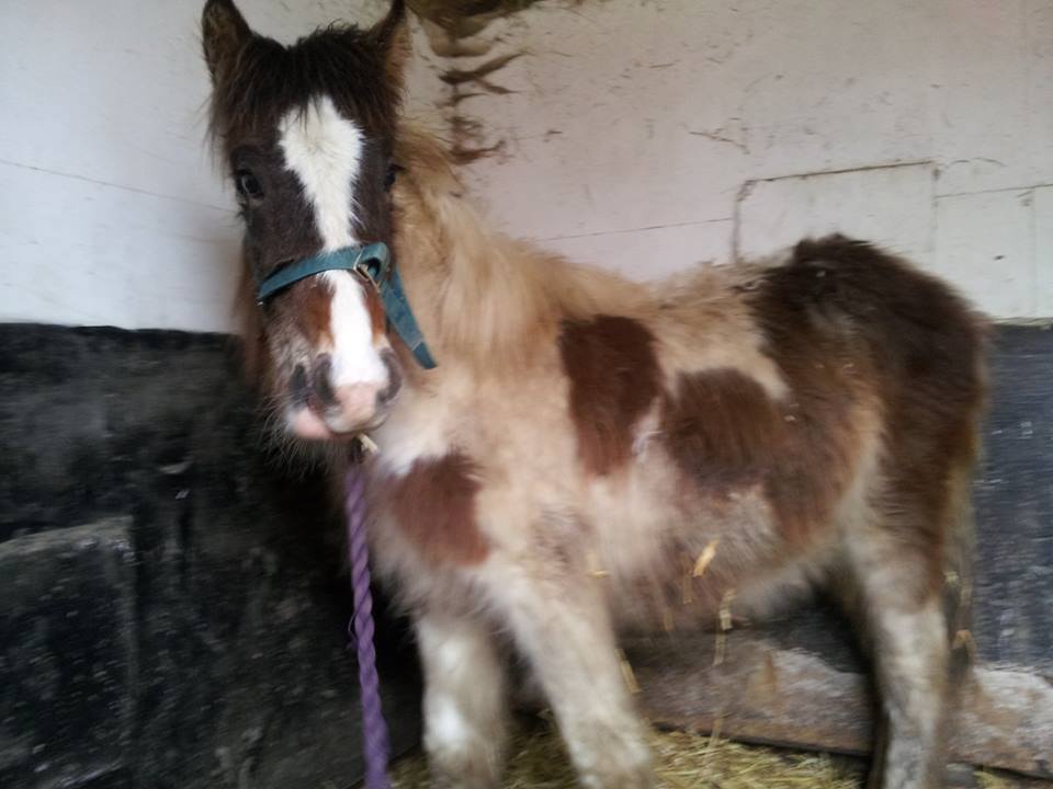 93777214_3202897099734788_4514594966986555392_n