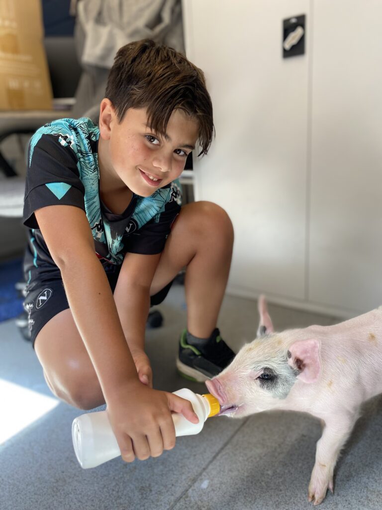 Out of Sight, Out of Mind: The Animals We Choose Not to See