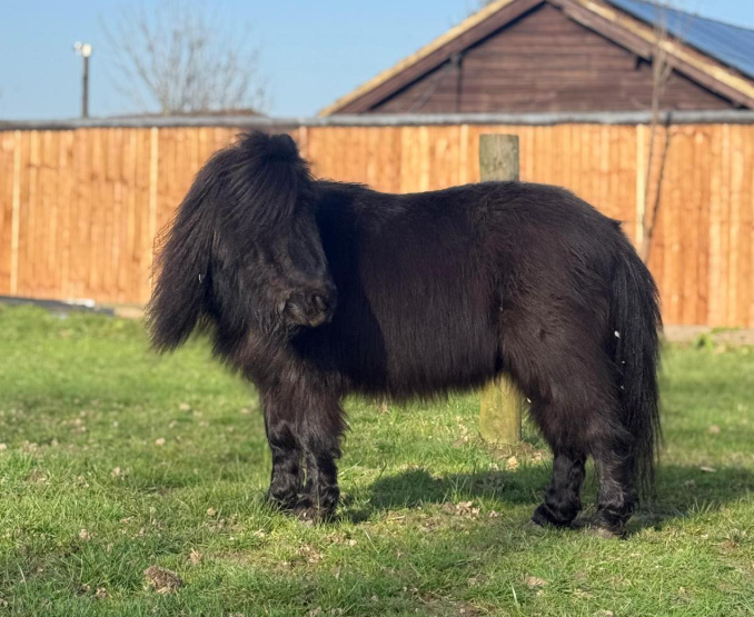 do not feed the animals best place to see animals in Essex