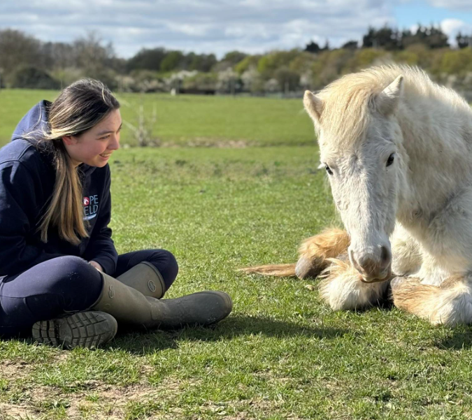 working with animals in Essex