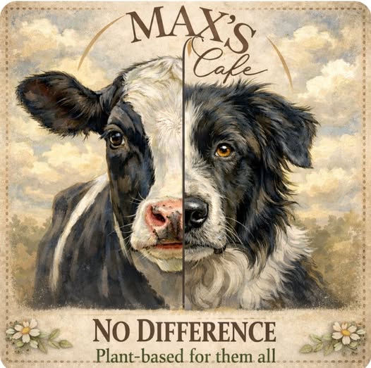 Max's Cafe plant-based cafe in Essex