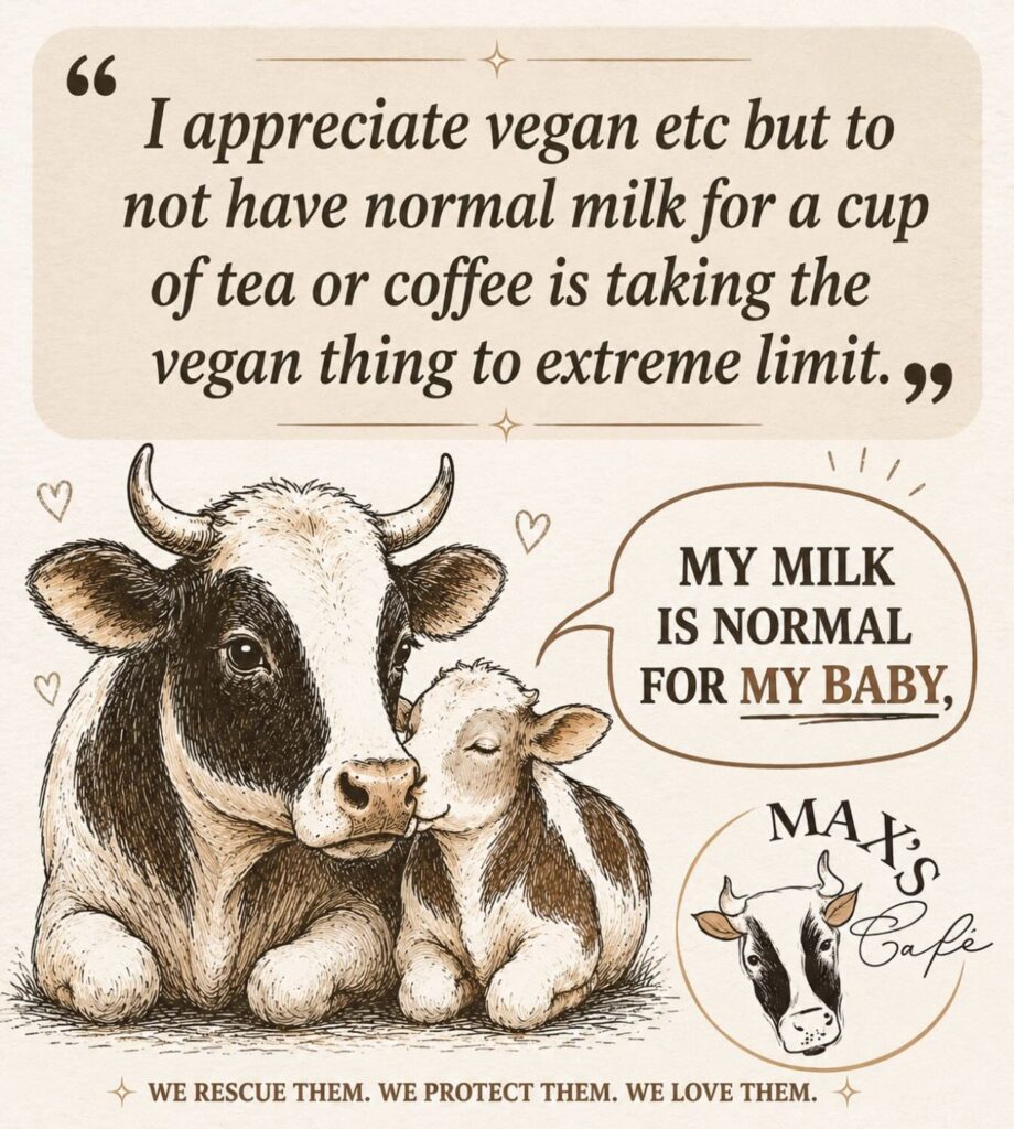 Max's Cafe plant-based cafe in Essex