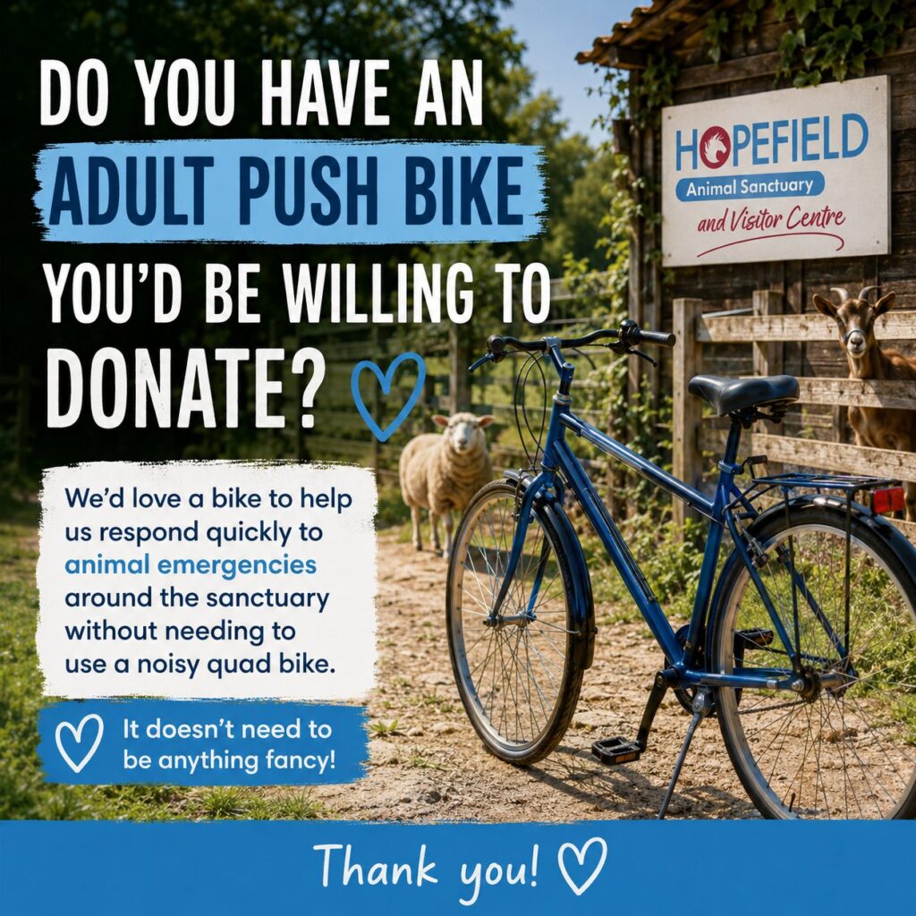 bike animal sanctuary in Essex