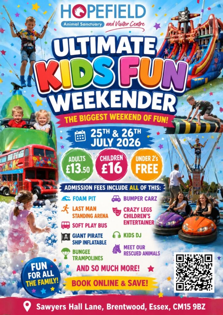 things to do this summer in Essex with kids