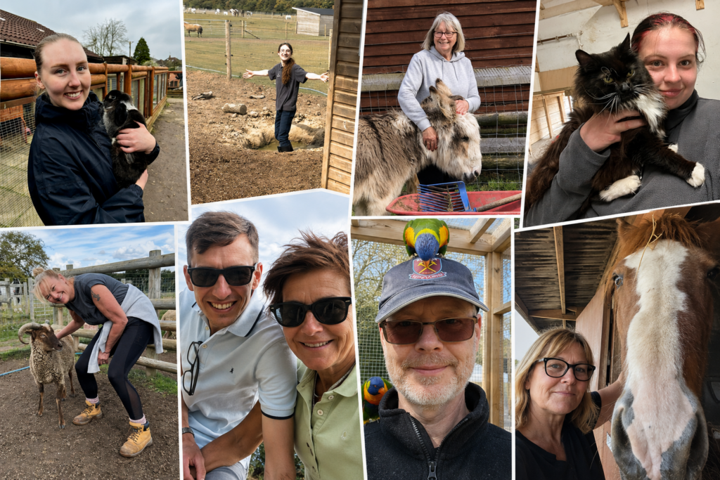 volunteering with animals in Essex