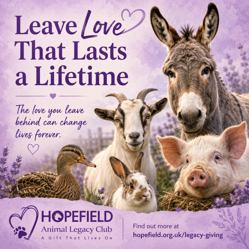 Leave a legacy to Hopefield