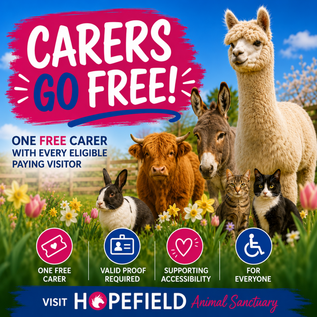 accessible days out in Essex carers go free