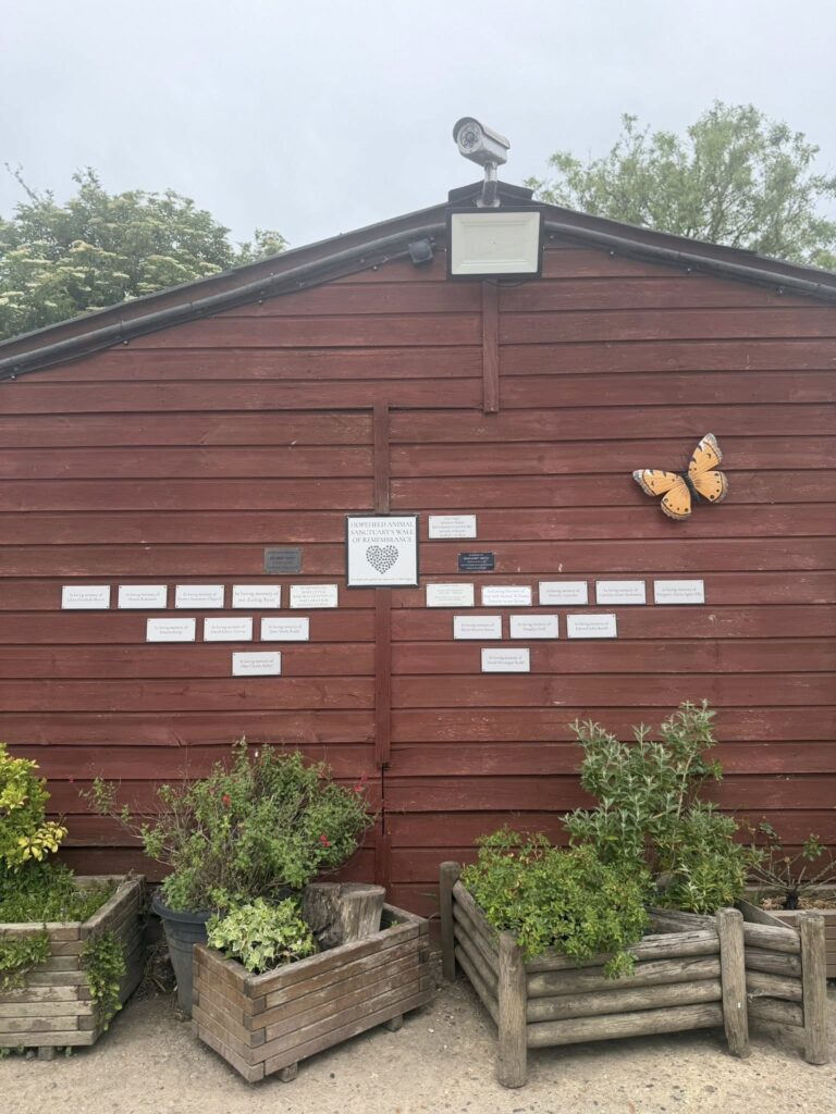 leave a legacy to Hopefield - wall of remembrance