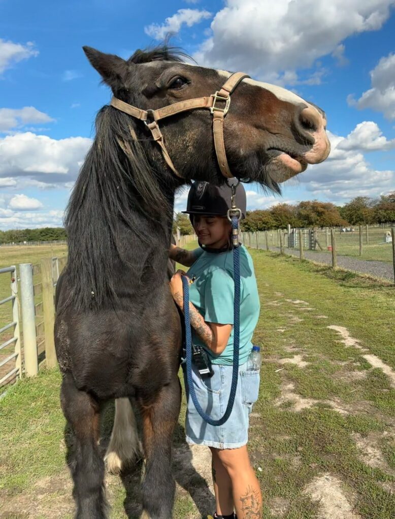working with animals in Essex