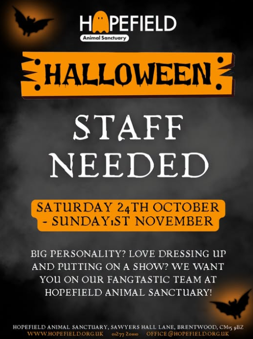 Halloween jobs in Essex