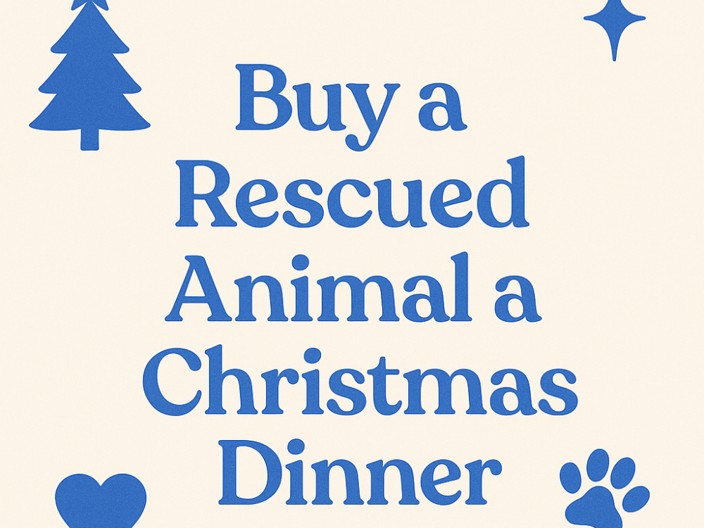 ChatGPT Image Dec 9, 2025, 07_06_25 PM ChatGPT Image Dec 9, 2025, 07_06_25 PM